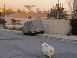 drone dog