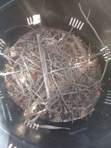 Inside of compost bin with layer of sticks.