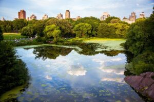 green infrastructure